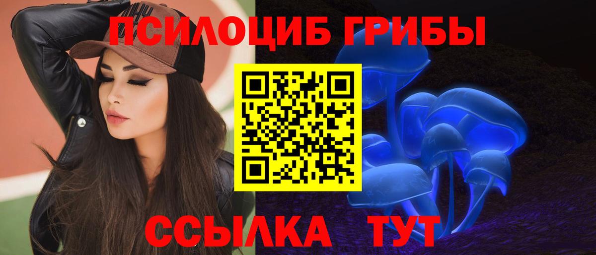 Псилоцибиновые грибы GOLDEN TEACHER  Вход с VPN  Приморско-Ахтарск 